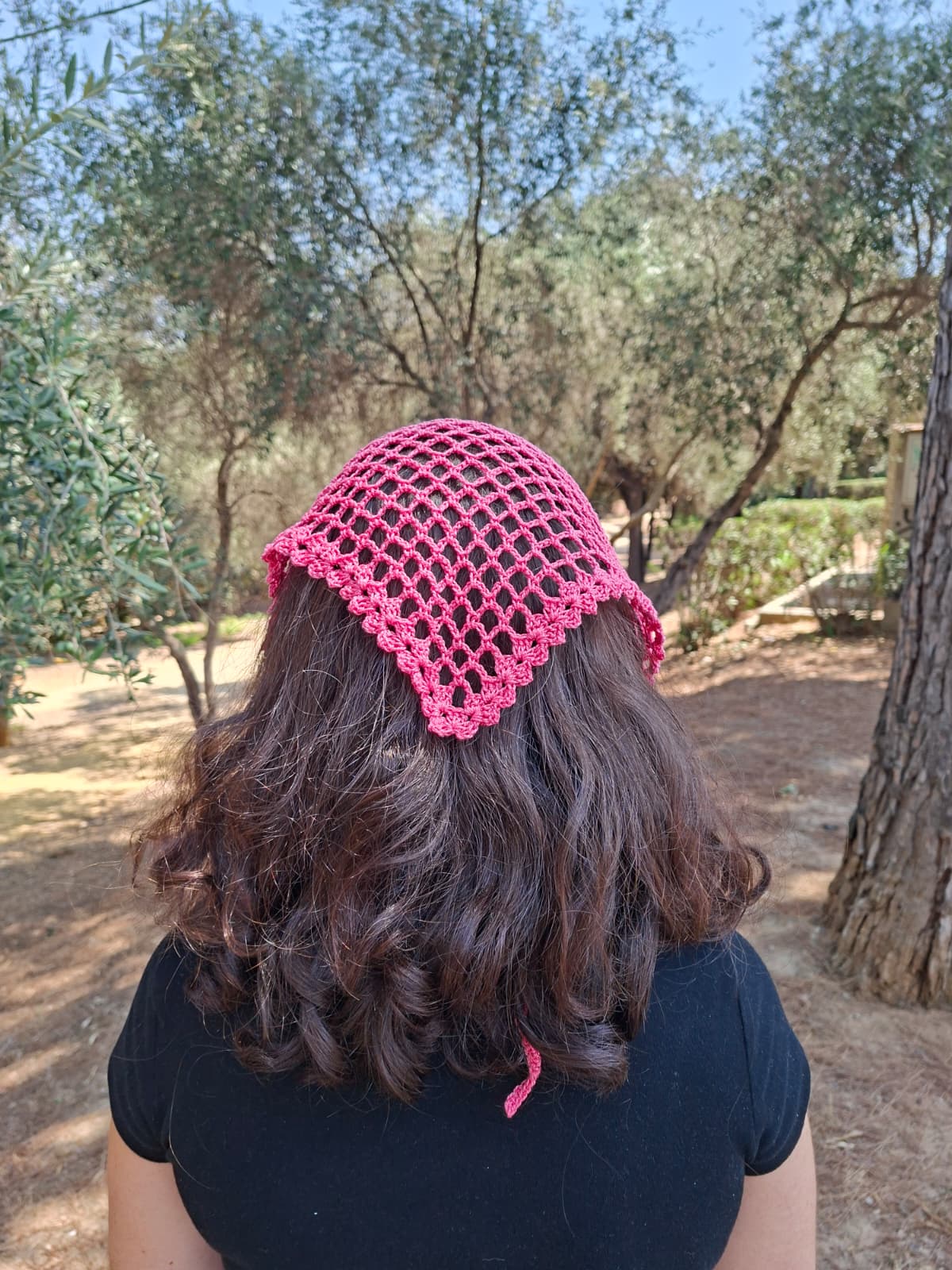 Bandana para pelo