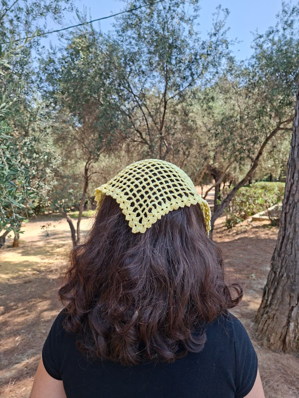Bandana para pelo